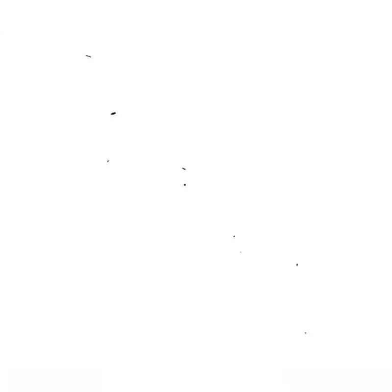 枯萎之花上的眼泪 16 第67页