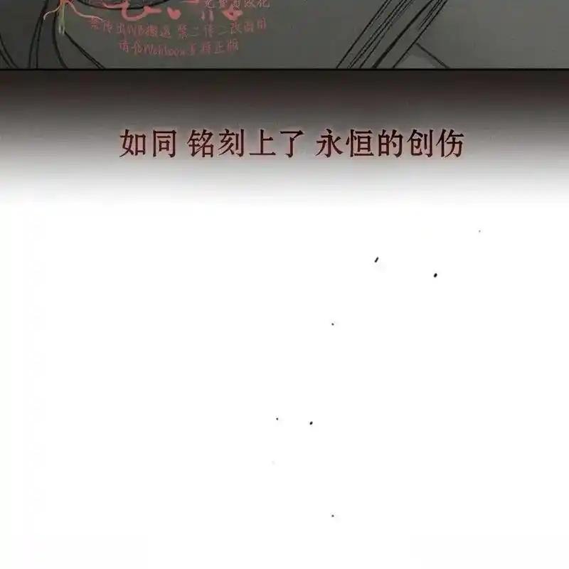 枯萎之花上的眼泪 17 第47页