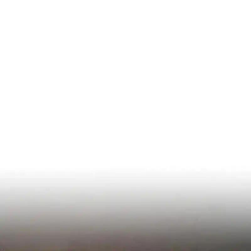 枯萎之花上的眼泪 20 第183页