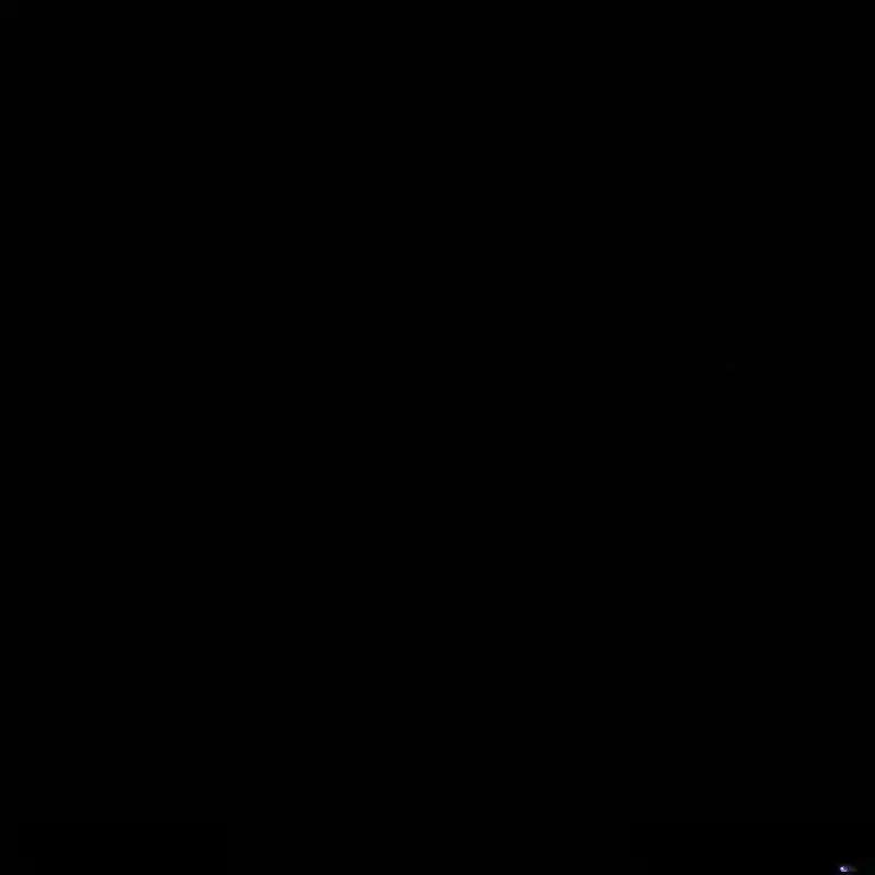 枯萎之花上的眼泪 21 第210页