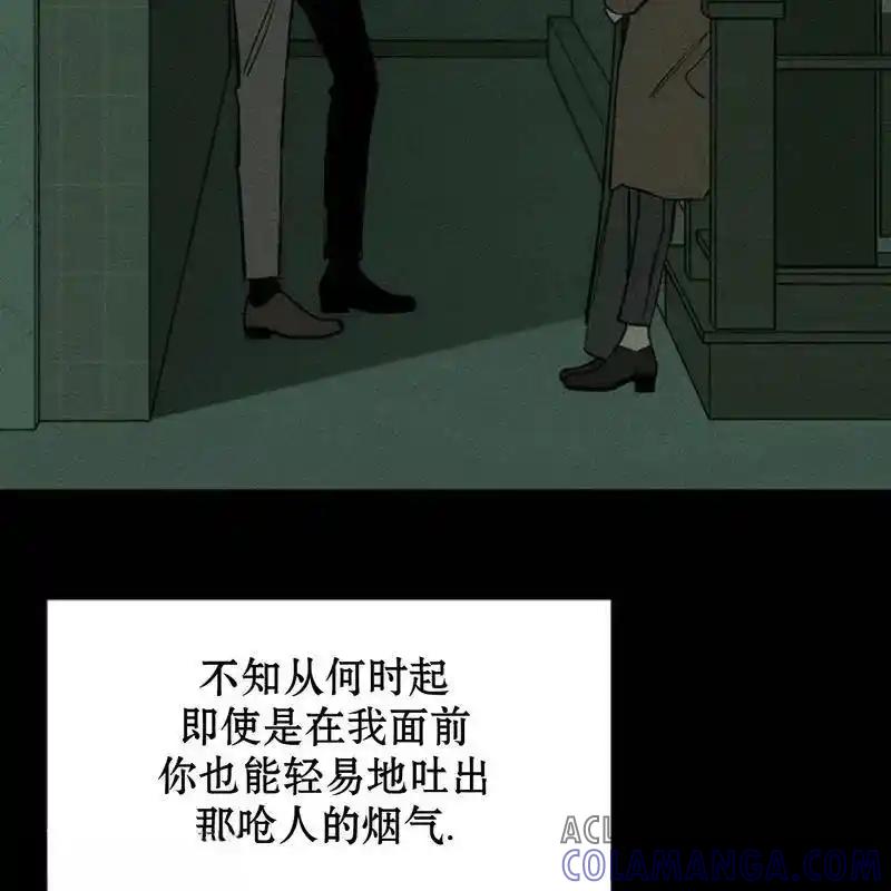 枯萎之花上的眼泪 21 第213页
