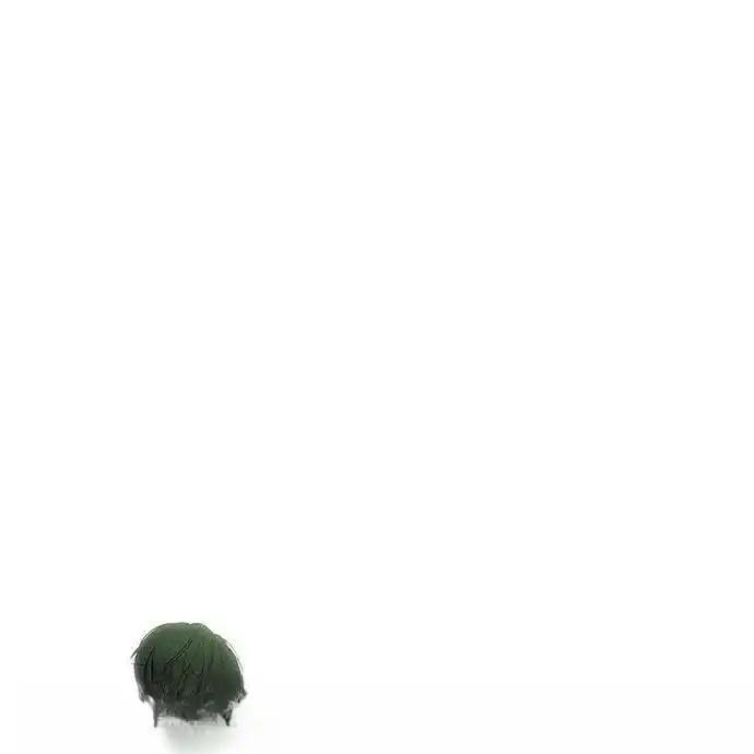 枯萎之花上的眼泪 3 第216页