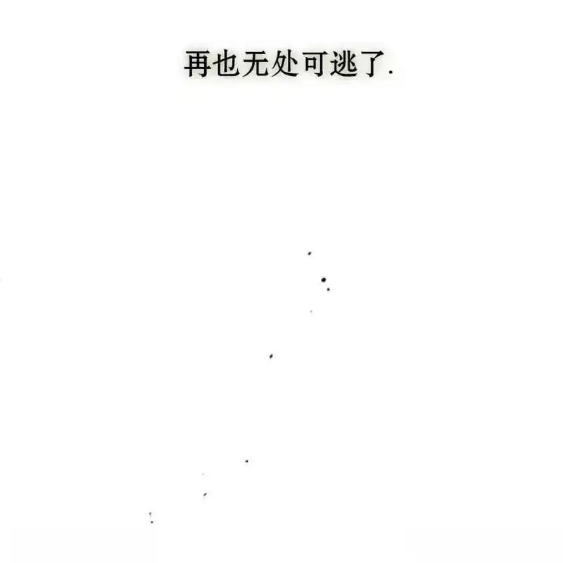 枯萎之花上的眼泪 22 第164页