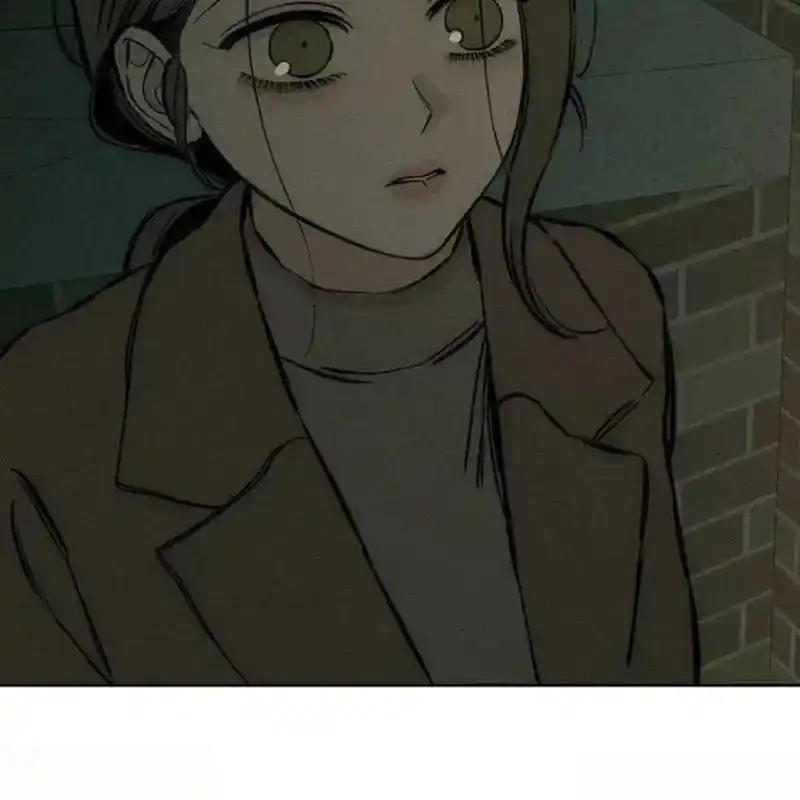 枯萎之花上的眼泪 22 第100页