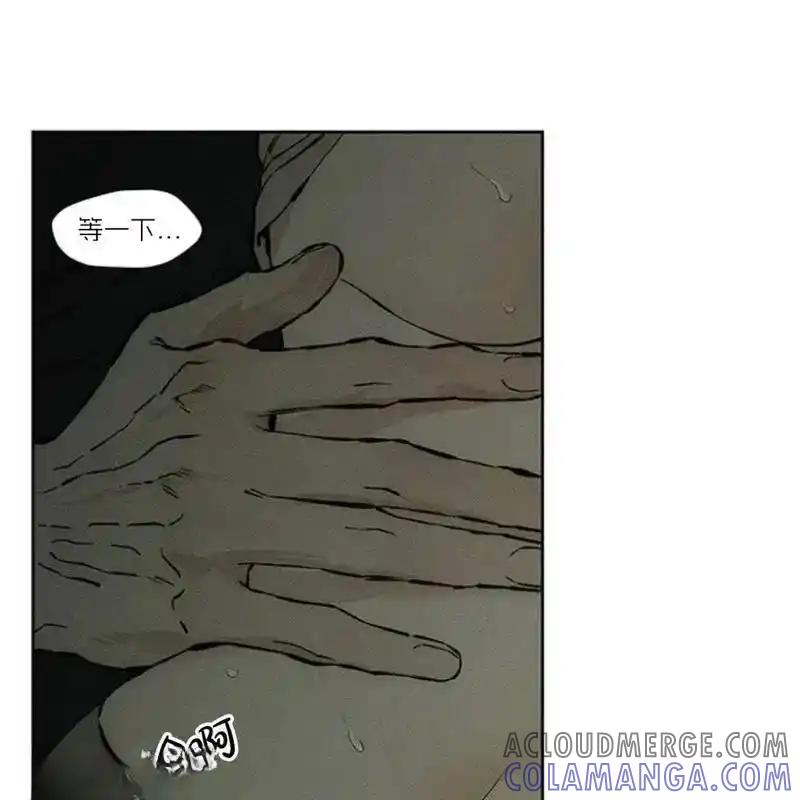 枯萎之花上的眼泪 24 第41页
