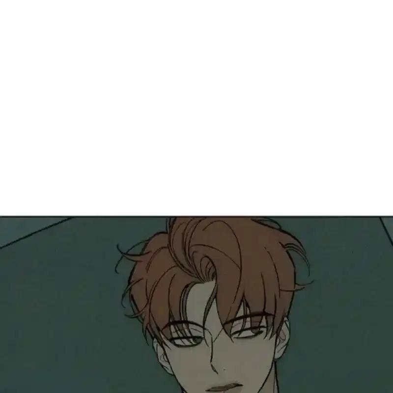 枯萎之花上的眼泪 26 第204页