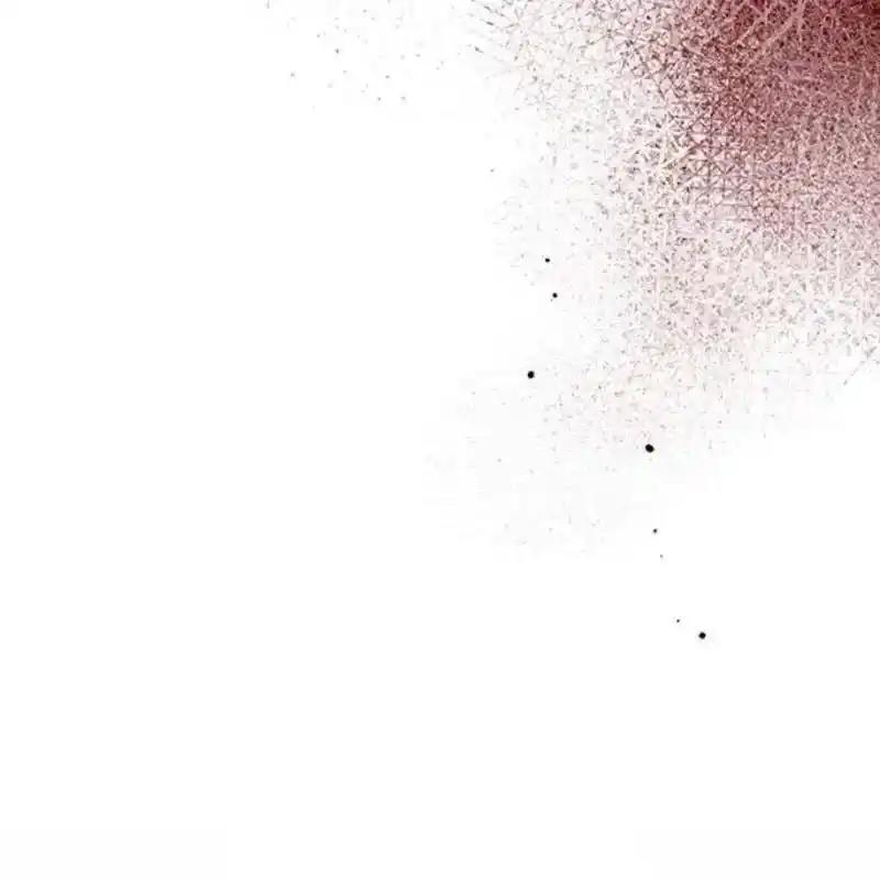 枯萎之花上的眼泪 28 第10页