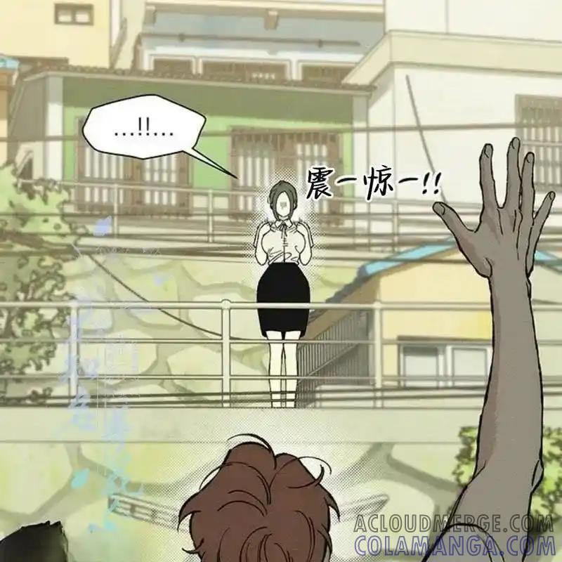 枯萎之花上的眼泪 29 第161页