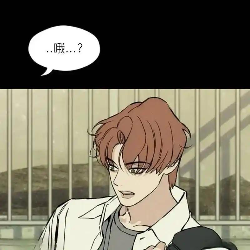 枯萎之花上的眼泪 29 第51页