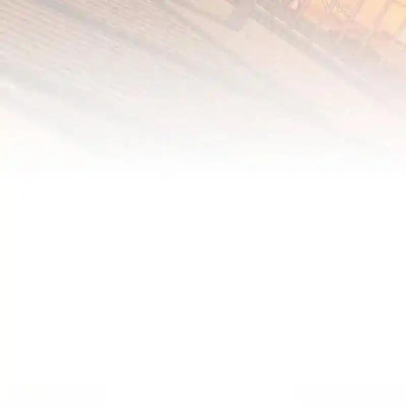 枯萎之花上的眼泪 30 第100页