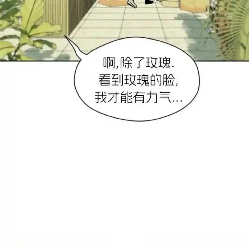 枯萎之花上的眼泪 5 第215页