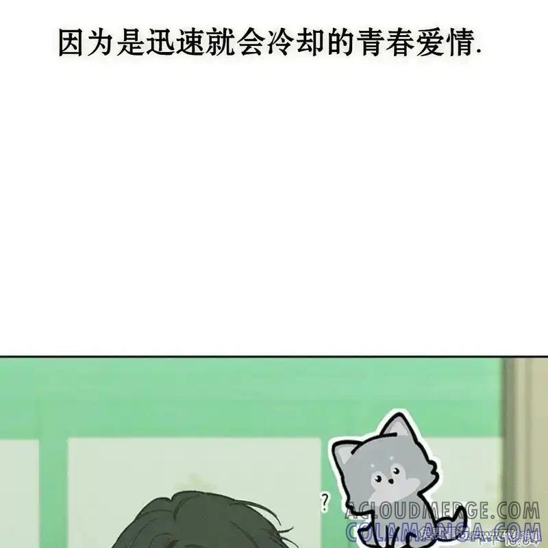 枯萎之花上的眼泪 第42话 第209页