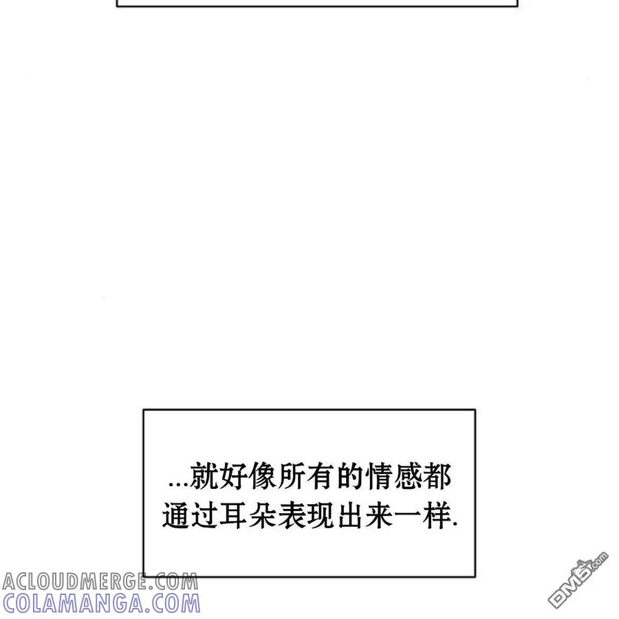 枯萎之花上的眼泪 第47话 第141页