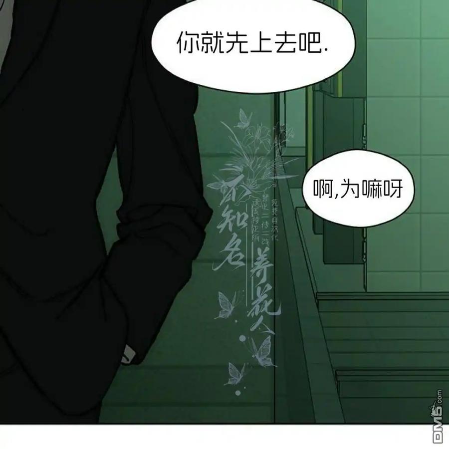 枯萎之花上的眼泪 第54话 第204页