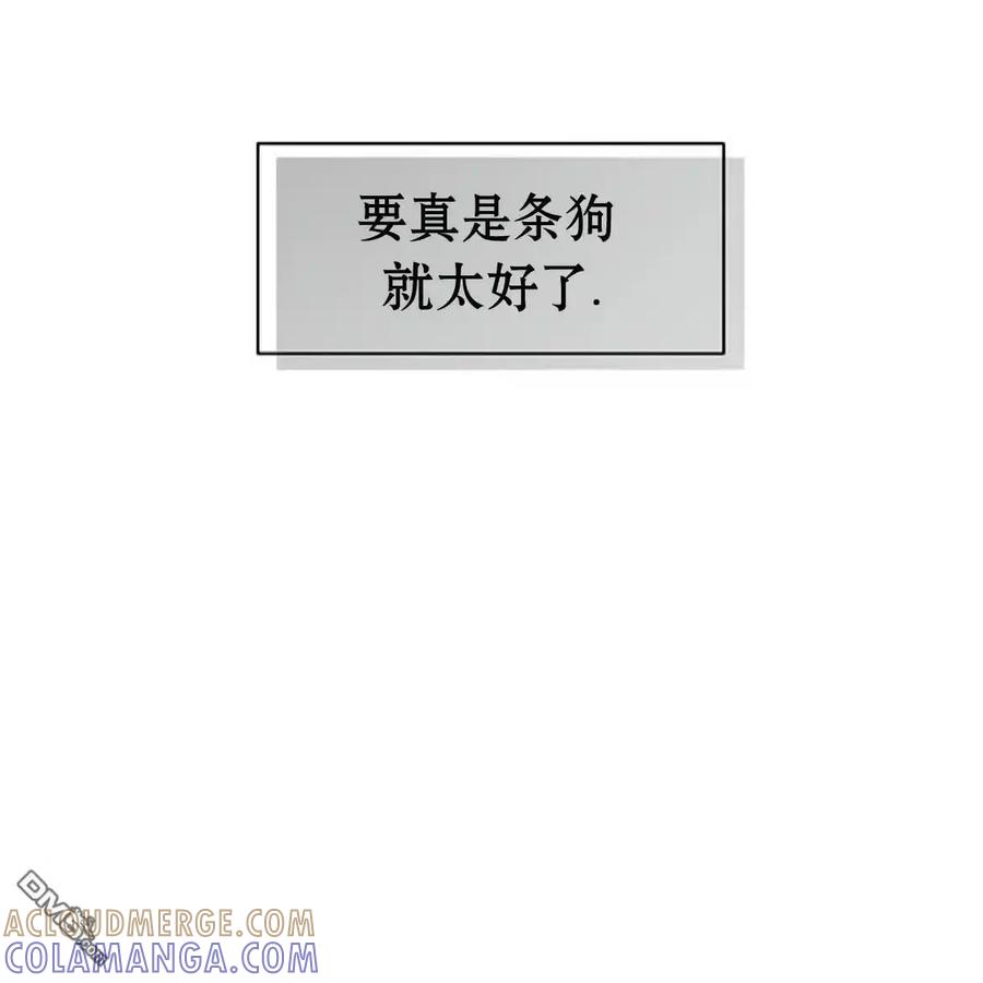 枯萎之花上的眼泪 第59话 第205页
