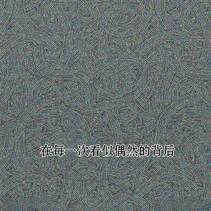 枯萎之花上的眼泪 11 第194页