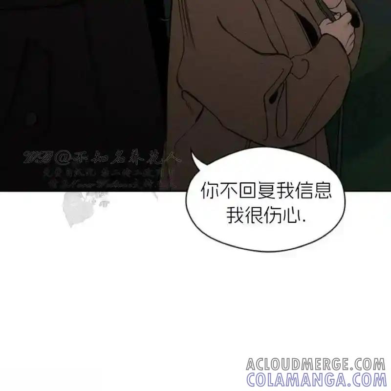 枯萎之花上的眼泪 11 第41页