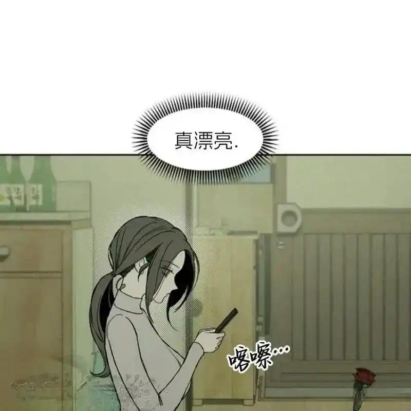 枯萎之花上的眼泪 11 第112页