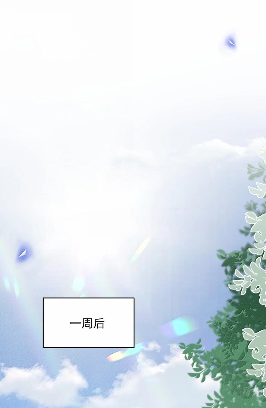 来生不见 139 东山再起？ 第13页