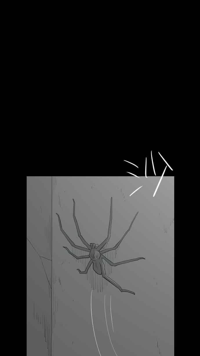 黑盒子 [356话] 奇蹟亭(3) 第30页
