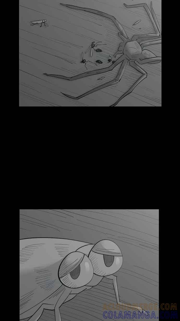 黑盒子 [356话] 奇蹟亭(3) 第37页