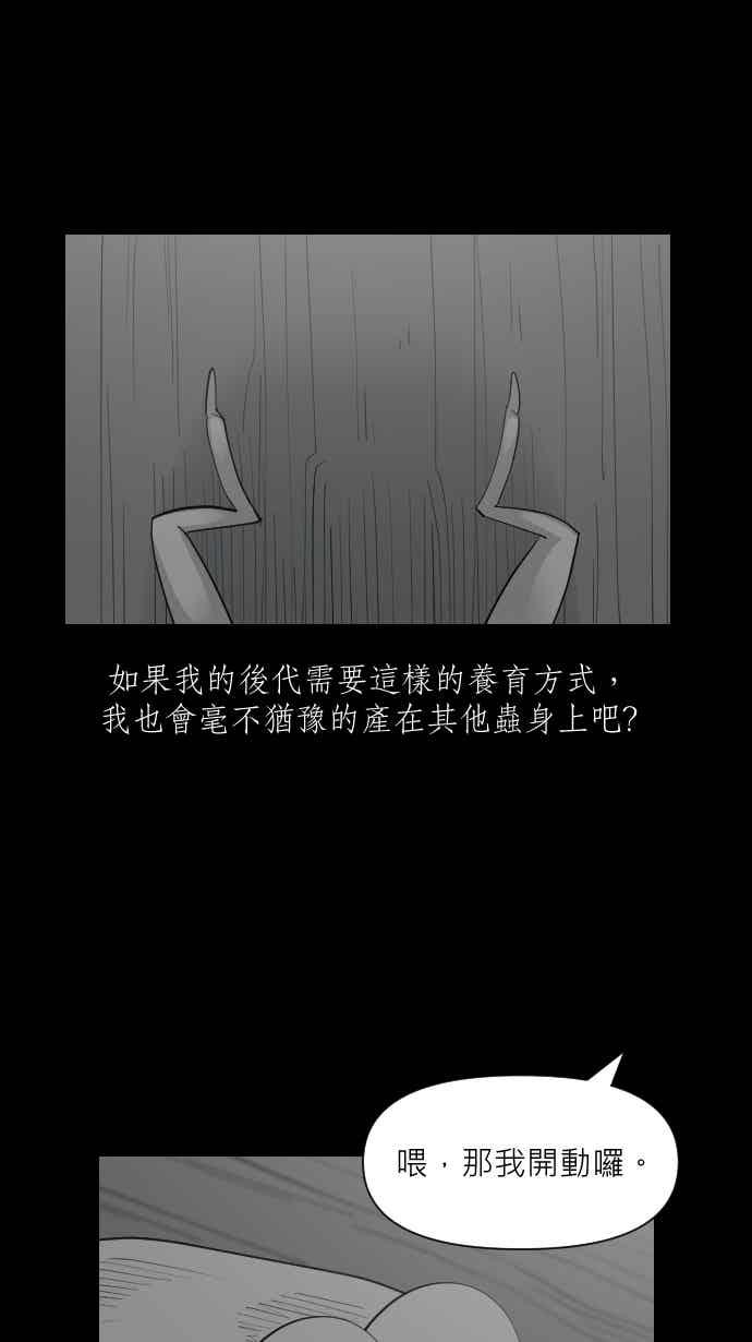 黑盒子 [356话] 奇蹟亭(3) 第42页