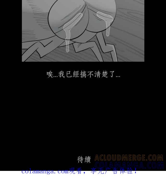 黑盒子 [356话] 奇蹟亭(3) 第43页