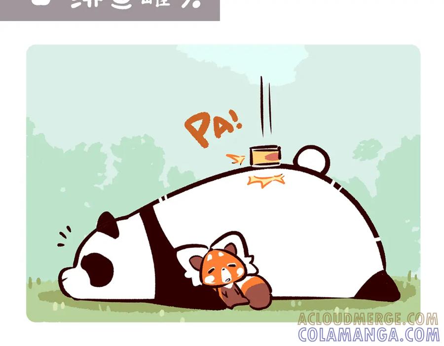 《胖达x胖达》第62话 第21页