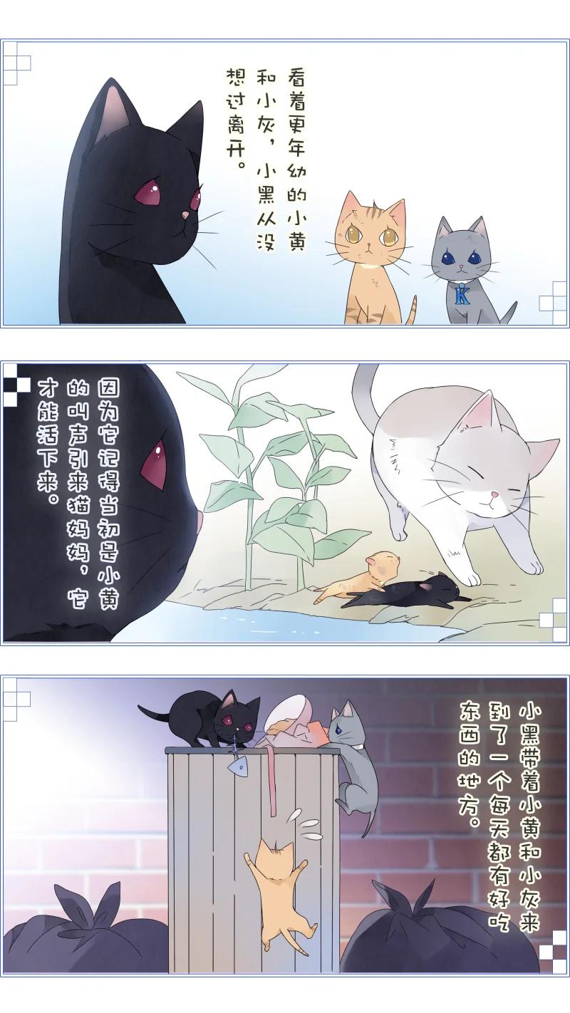 《蓝翅》蓝翅猫咪版 第4页