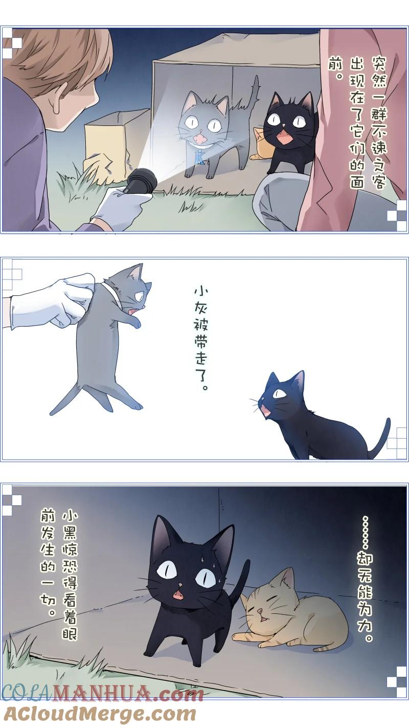 《蓝翅》蓝翅猫咪版 第7页