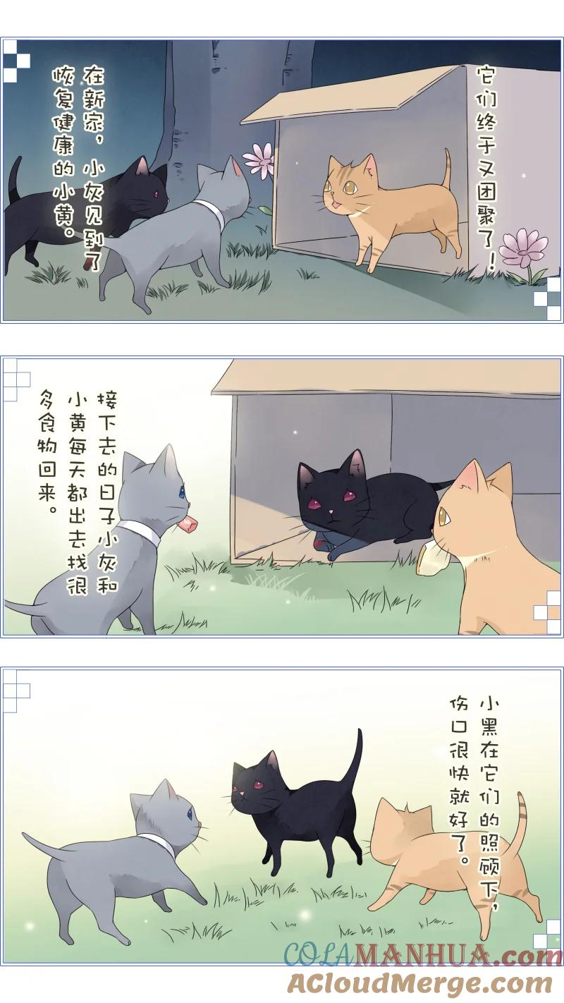 《蓝翅》蓝翅猫咪版 第13页