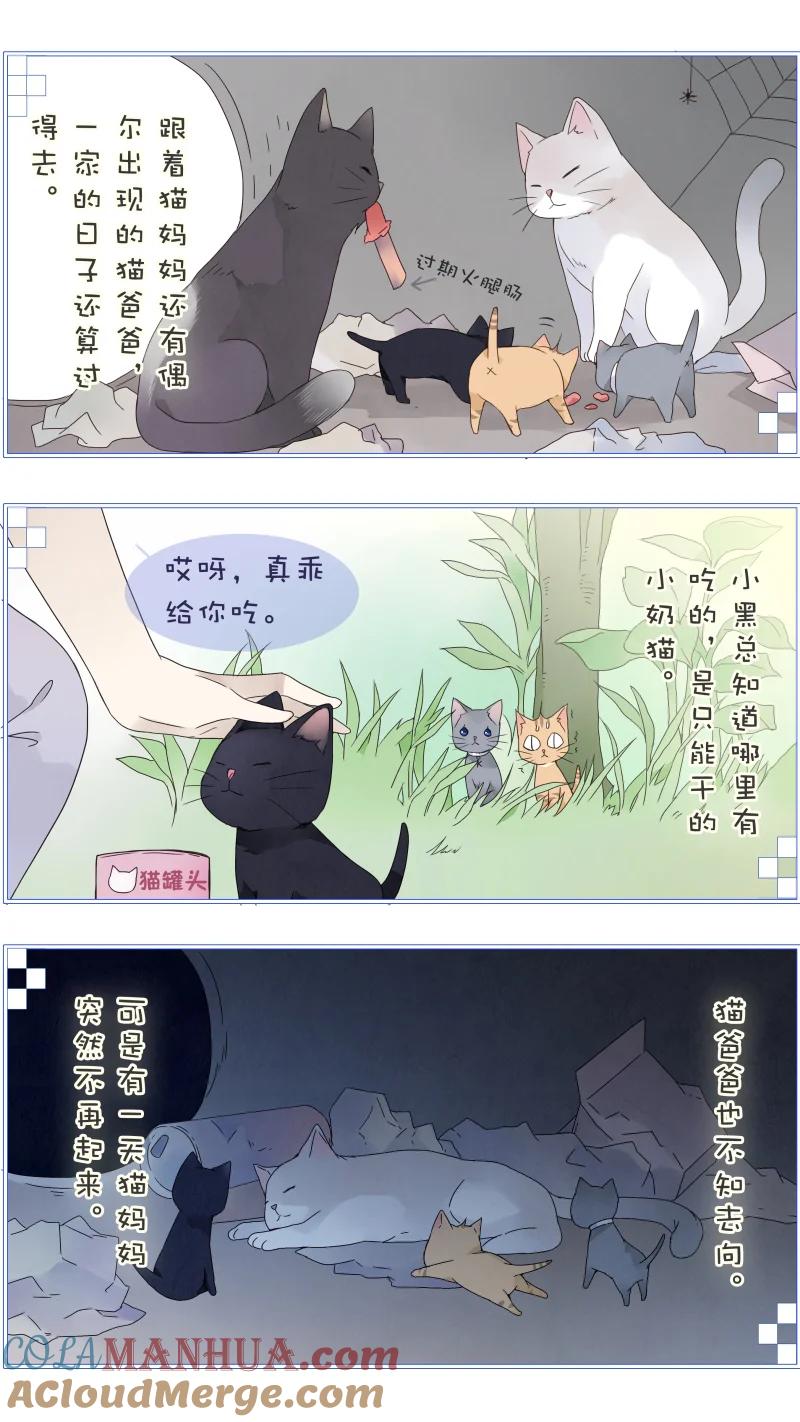 《蓝翅》蓝翅猫咪版 第3页