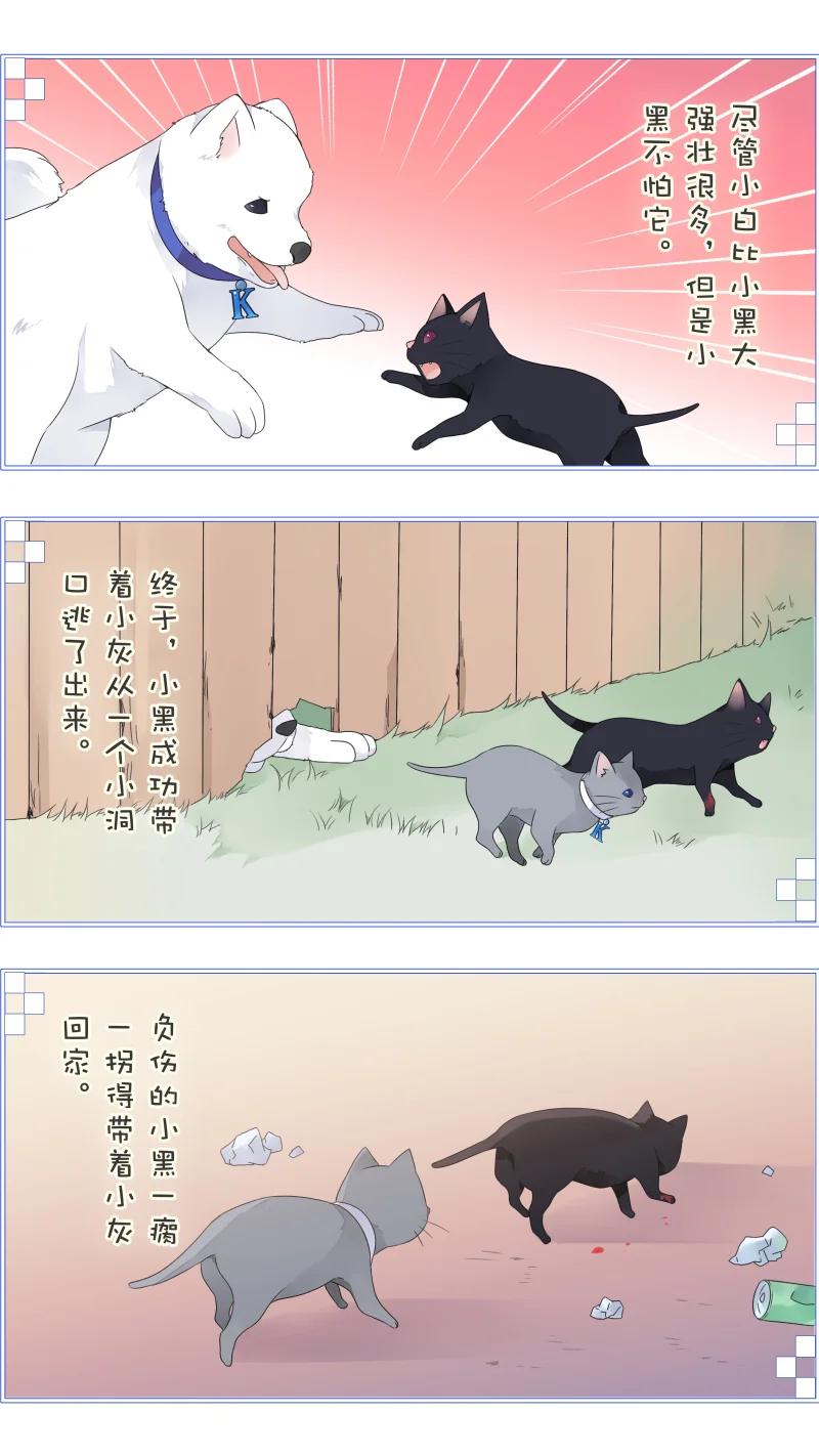《蓝翅》蓝翅猫咪版 第12页