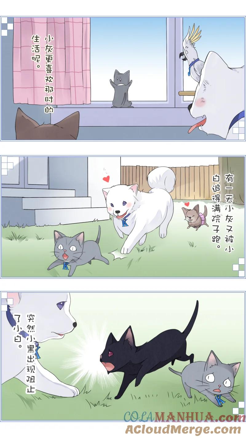 《蓝翅》蓝翅猫咪版 第11页