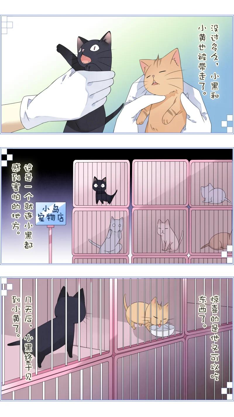 《蓝翅》蓝翅猫咪版 第8页