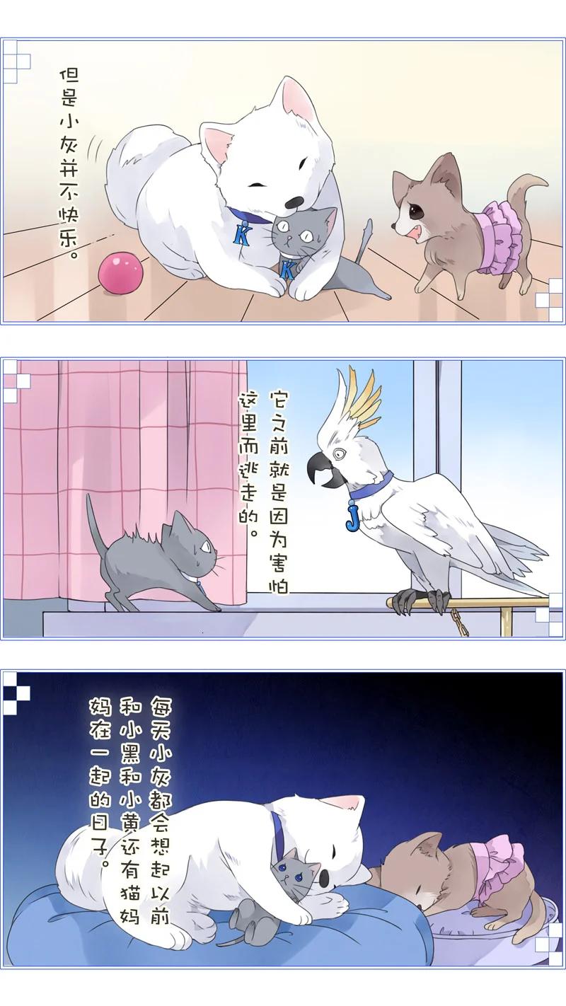《蓝翅》蓝翅猫咪版 第10页