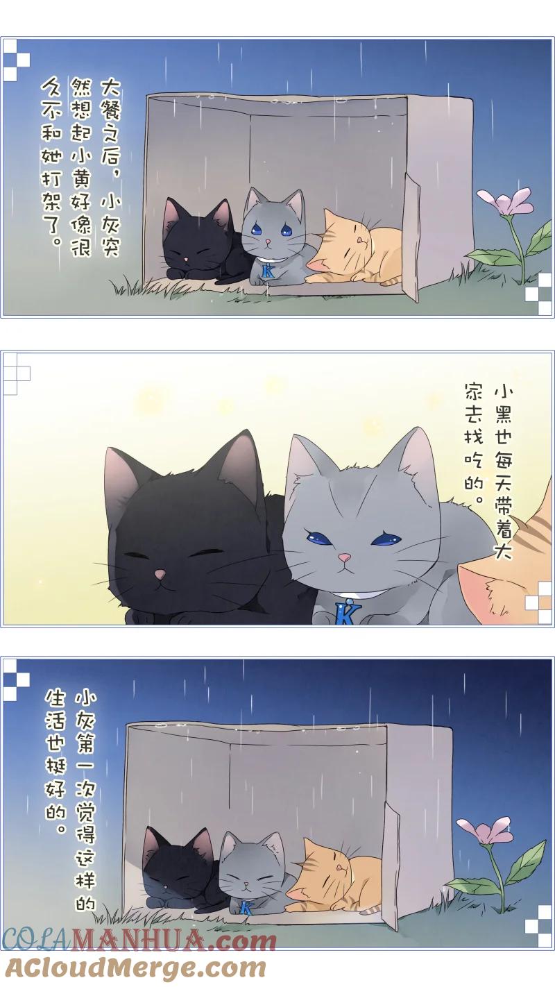 《蓝翅》蓝翅猫咪版 第5页
