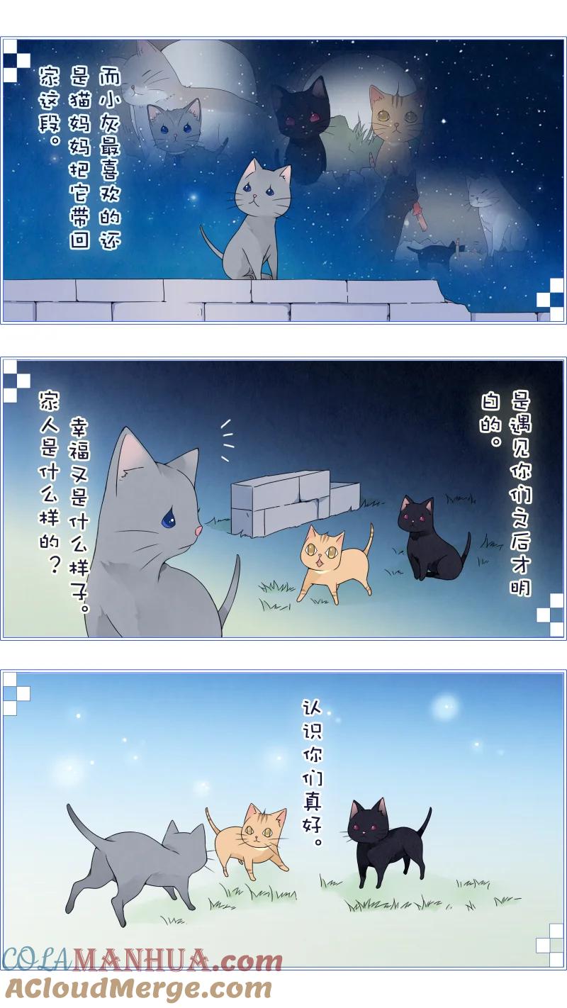 《蓝翅》蓝翅猫咪版 第15页