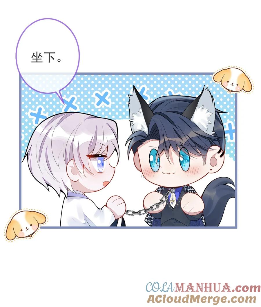 狼的报恩 - 预告来喽 追妻火葬场预备！ - 第13张图