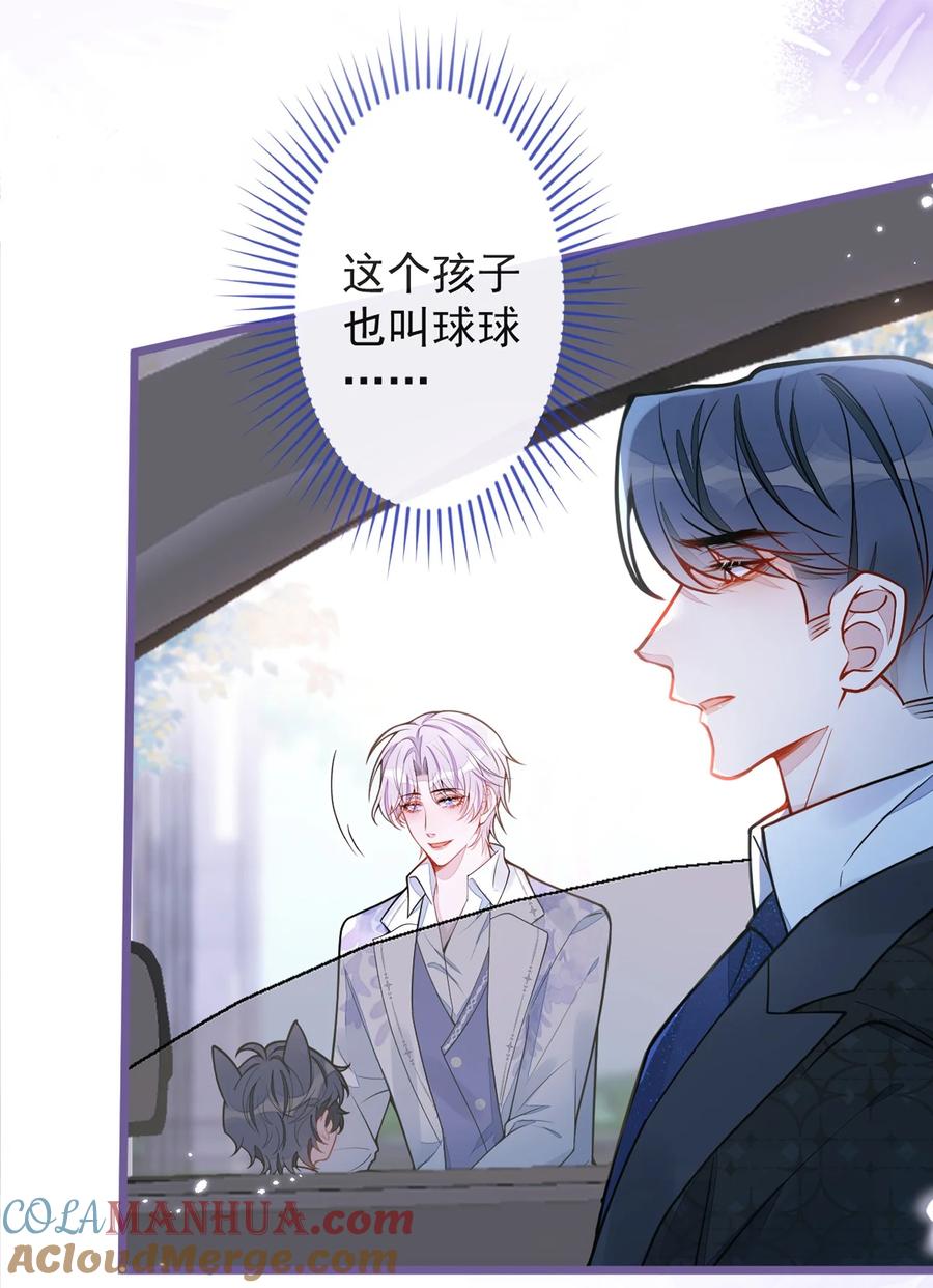 狼的报恩 - 27- 车祸前的记忆。 - 第46张图