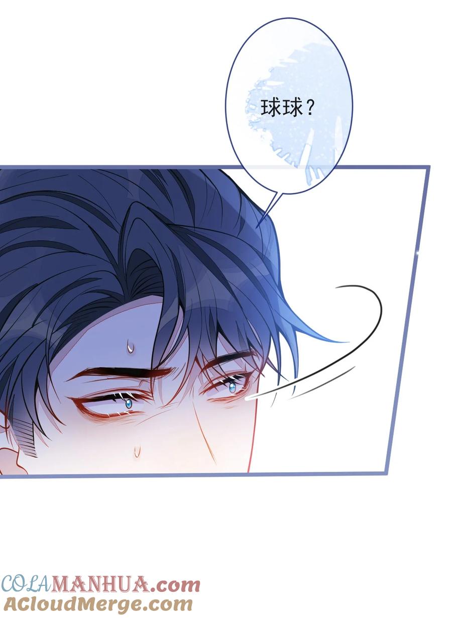 狼的报恩 - 47- 球球失踪。 - 第31张图