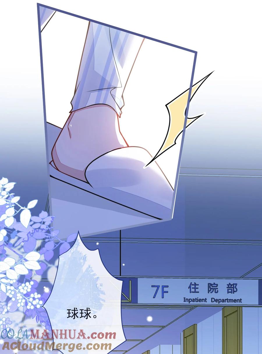 狼的报恩 - 47- 球球失踪。 - 第28张图