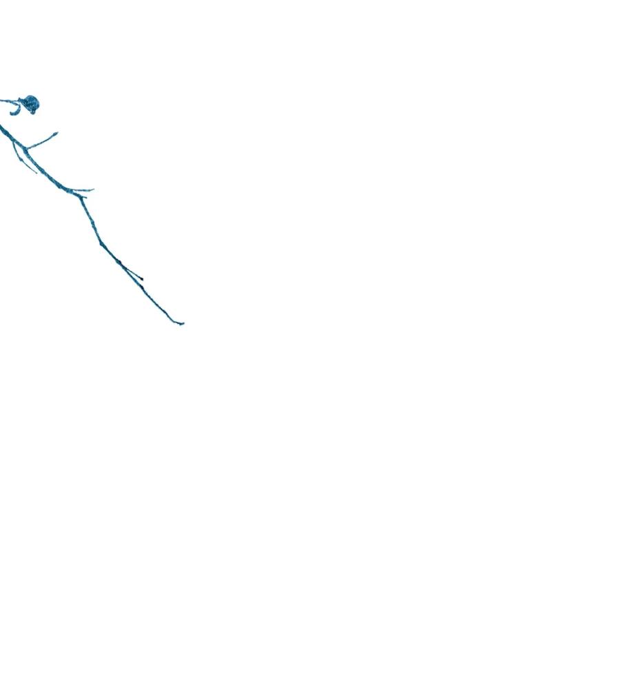 狼的报恩 - 55- 变回狼了！ - 第47张图