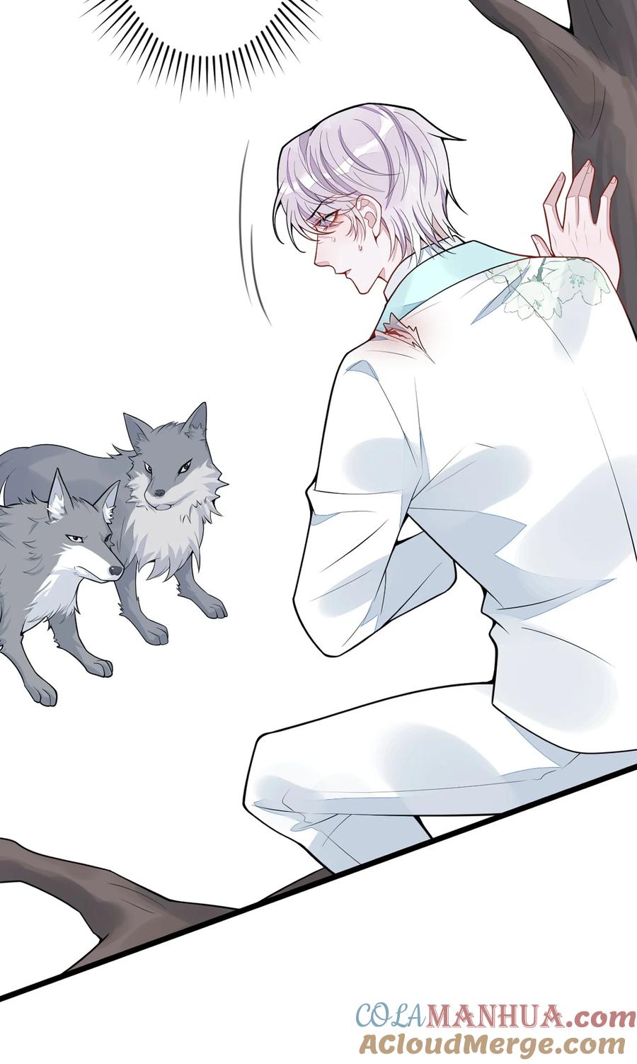 狼的报恩 - 55- 变回狼了！ - 第49张图
