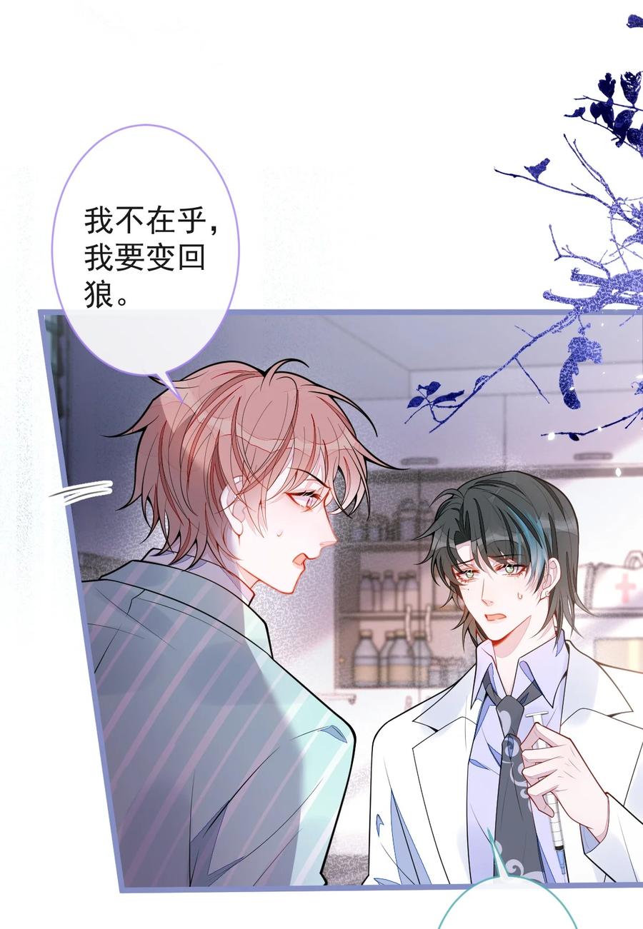 狼的报恩 - 55- 变回狼了！ - 第41张图