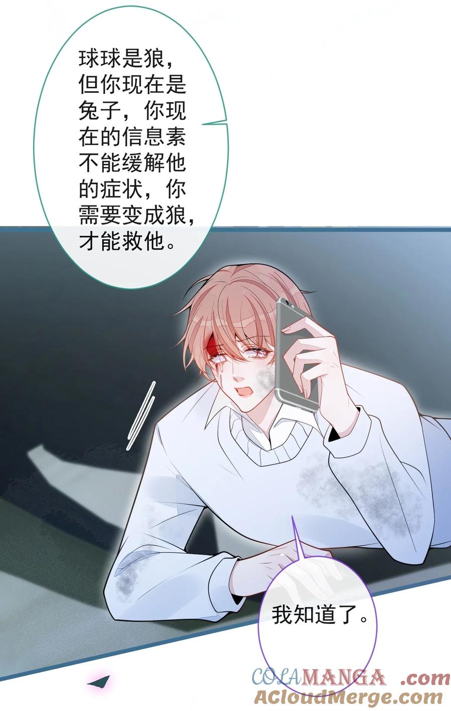 狼的报恩 - 67- 球球失踪 - 第11张图