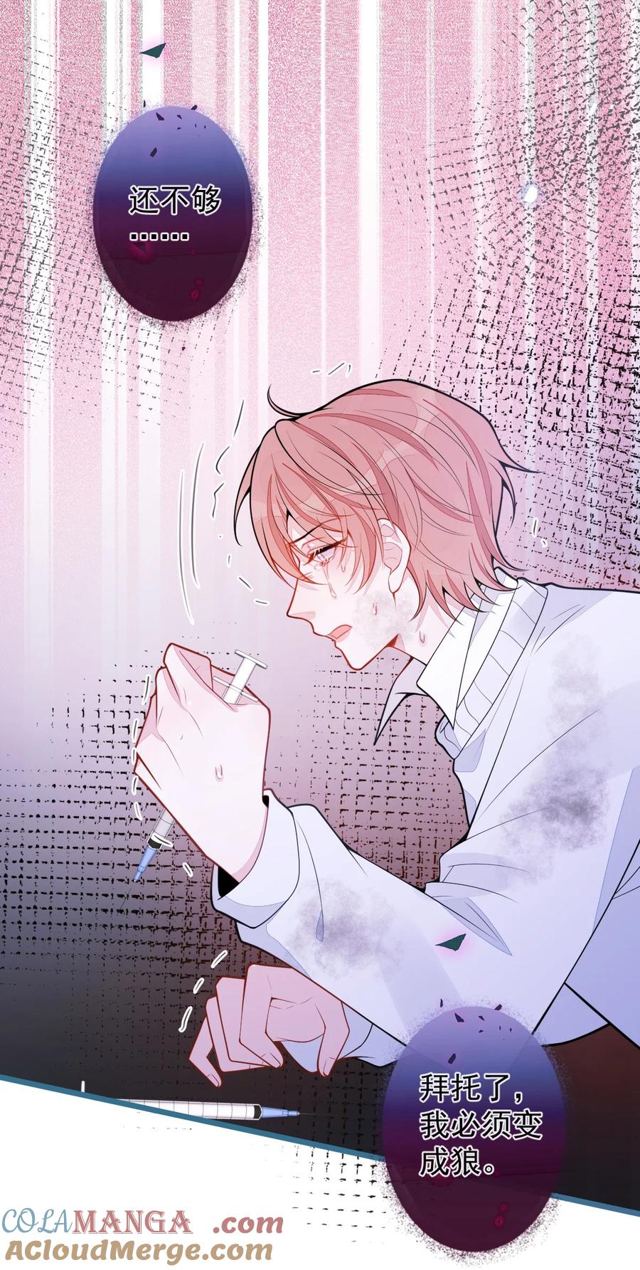 狼的报恩 - 67- 球球失踪 - 第13张图