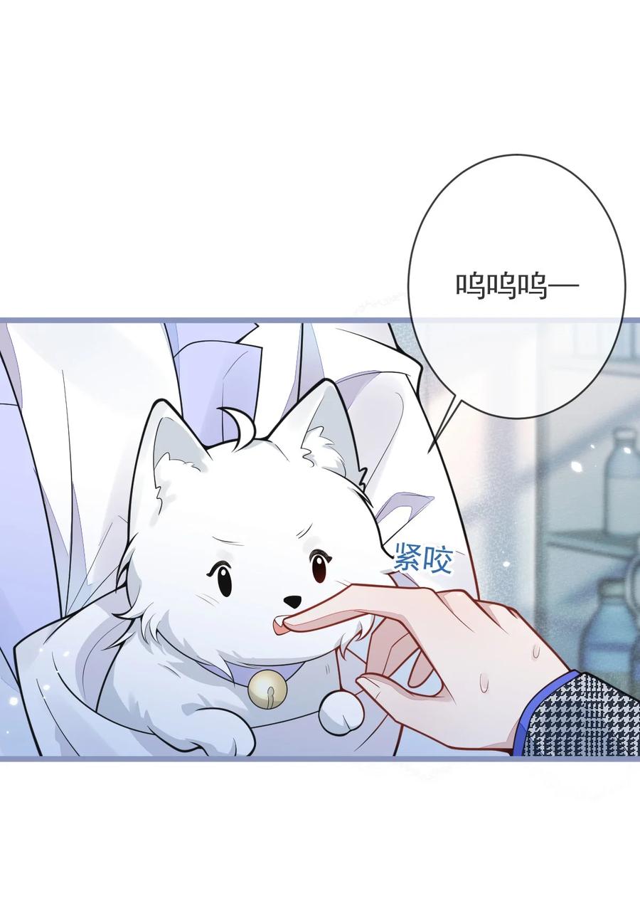 狼的报恩 - 5- 球球不可以！ - 第5张图