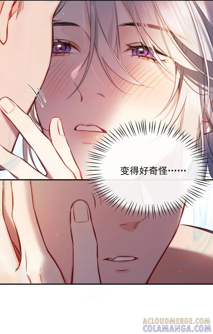 《狼君想对我负责》001 真是让人恶心的发情。 第37页