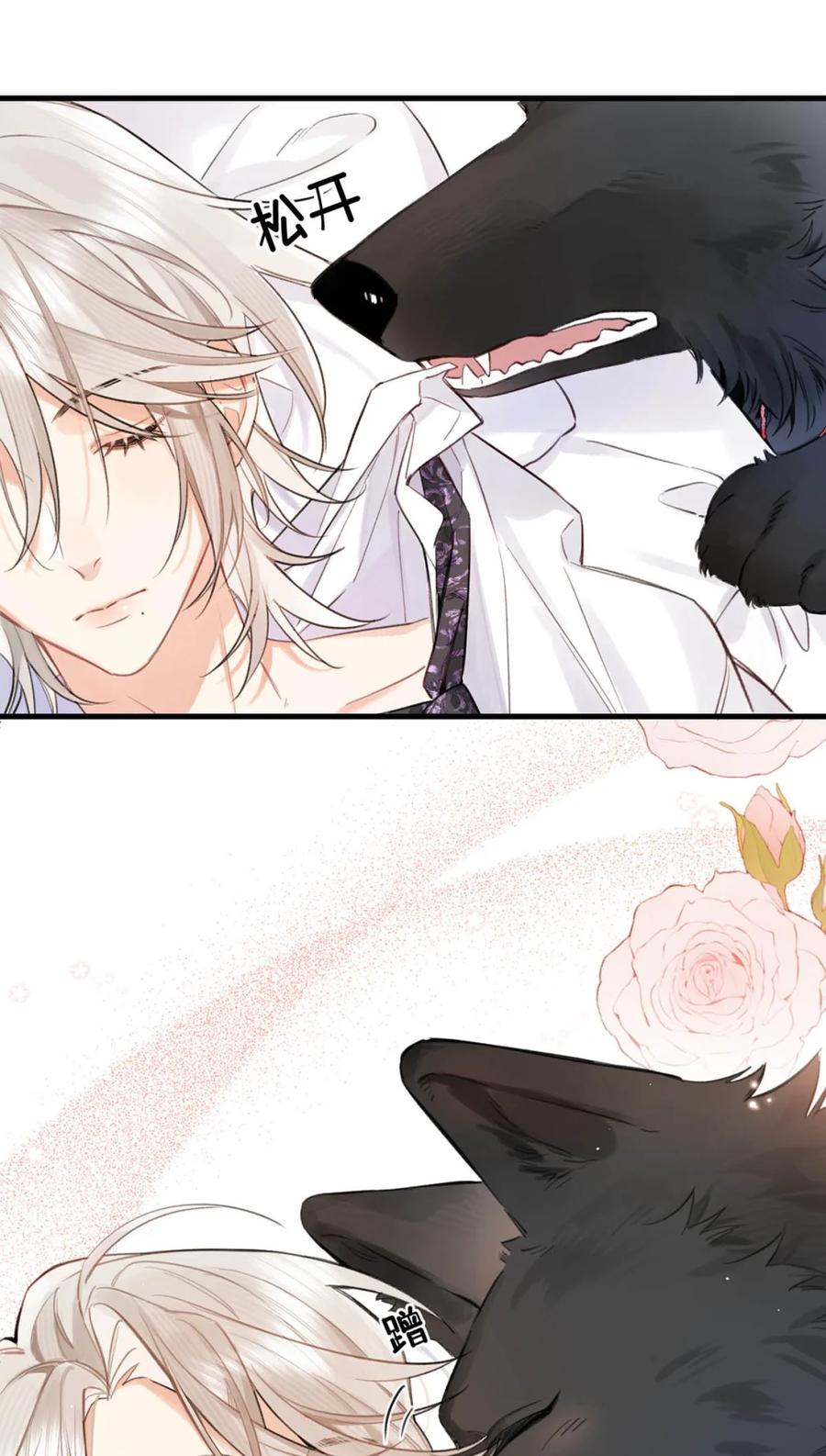 《狼君想对我负责》001 真是让人恶心的发情。 第47页
